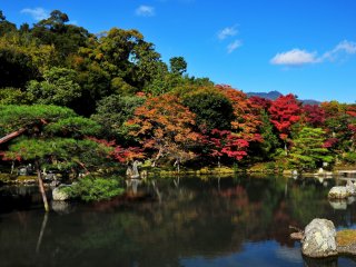Looking at this brilliant pond colored in red, from the large abbey, &#39;Dai-hojo&#39;